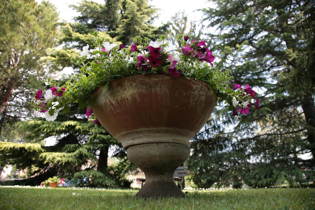 Hotel Bassetto Ferentino Exterior photo
